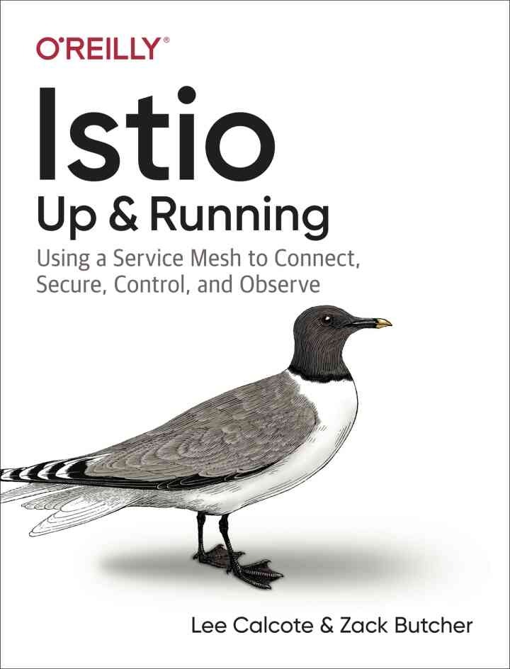 Istio: Up and Running: Using a Service Mesh to Connect, Secure, Control, and Observe, 1st Edition