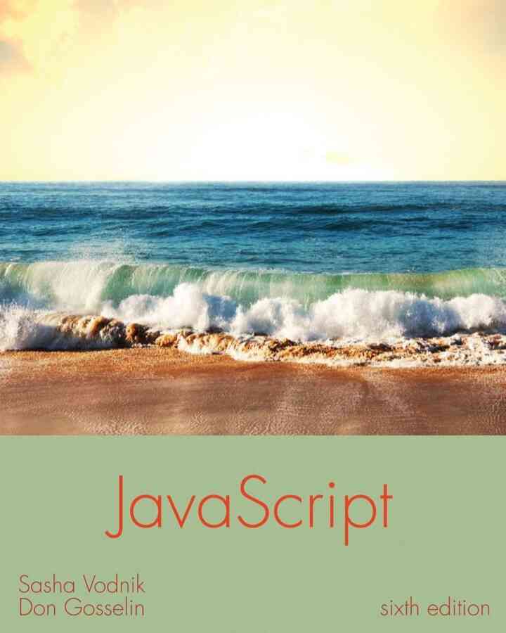JavaScript: The Web Warrior Series 6th Edition