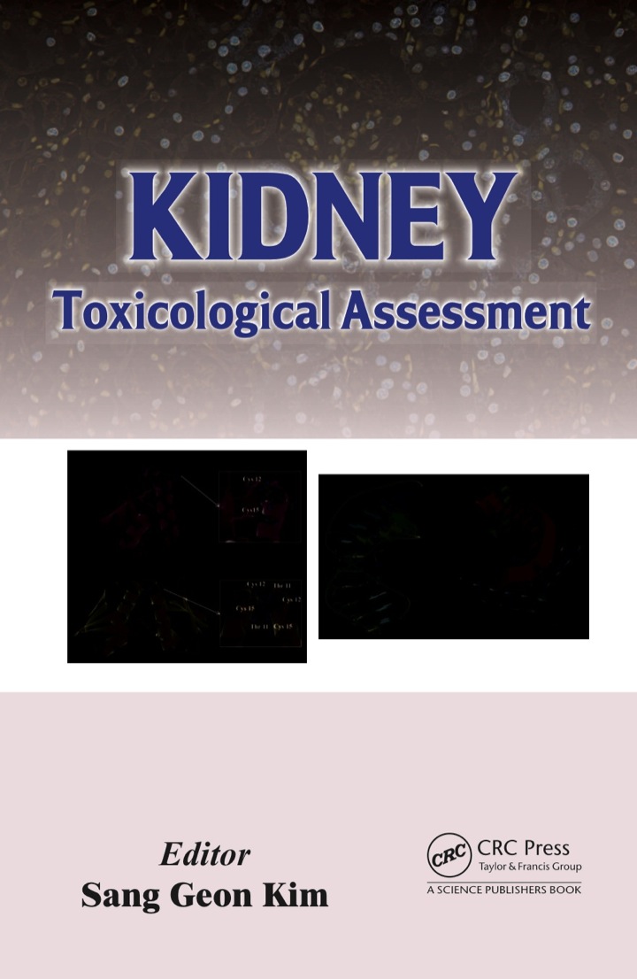 Kidney : Toxicological Assessment