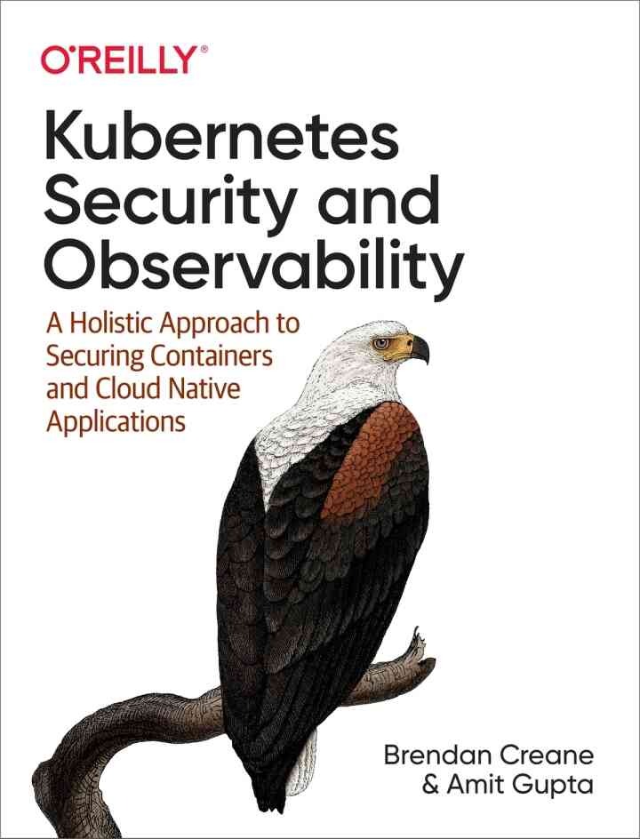 Kubernetes Security and Observability: A Holistic Approach to Securing Containers and Cloud Native Applications, 1st Edition
