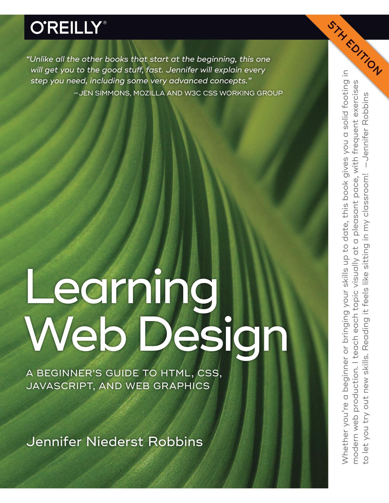 Learning Web Design: A Beginner's Guide to HTML CSS JavaScript and Web Graphics