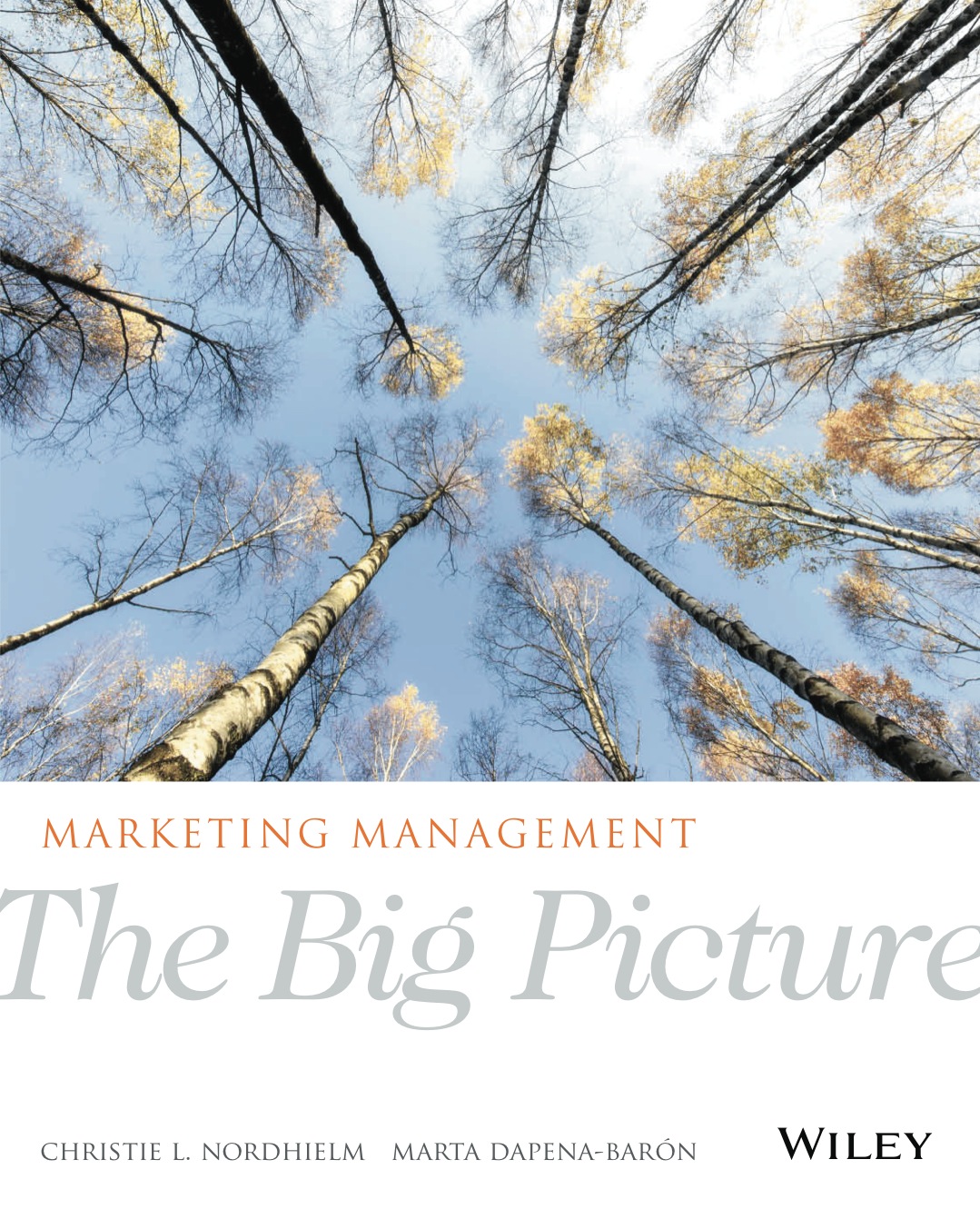 Marketing Management: The Big Picture