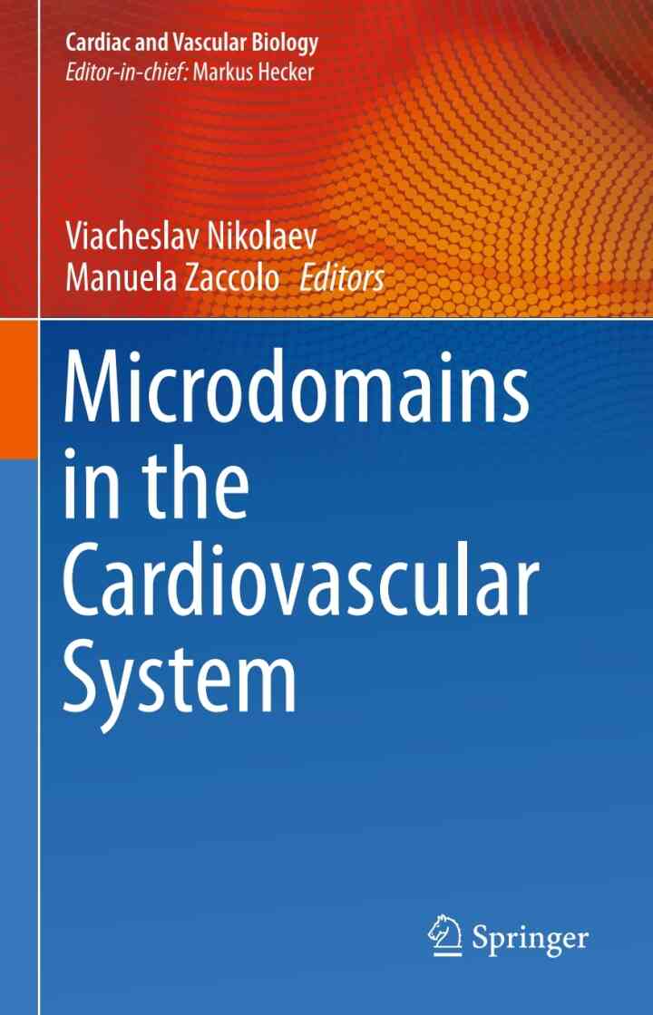 Microdomains in the Cardiovascular System