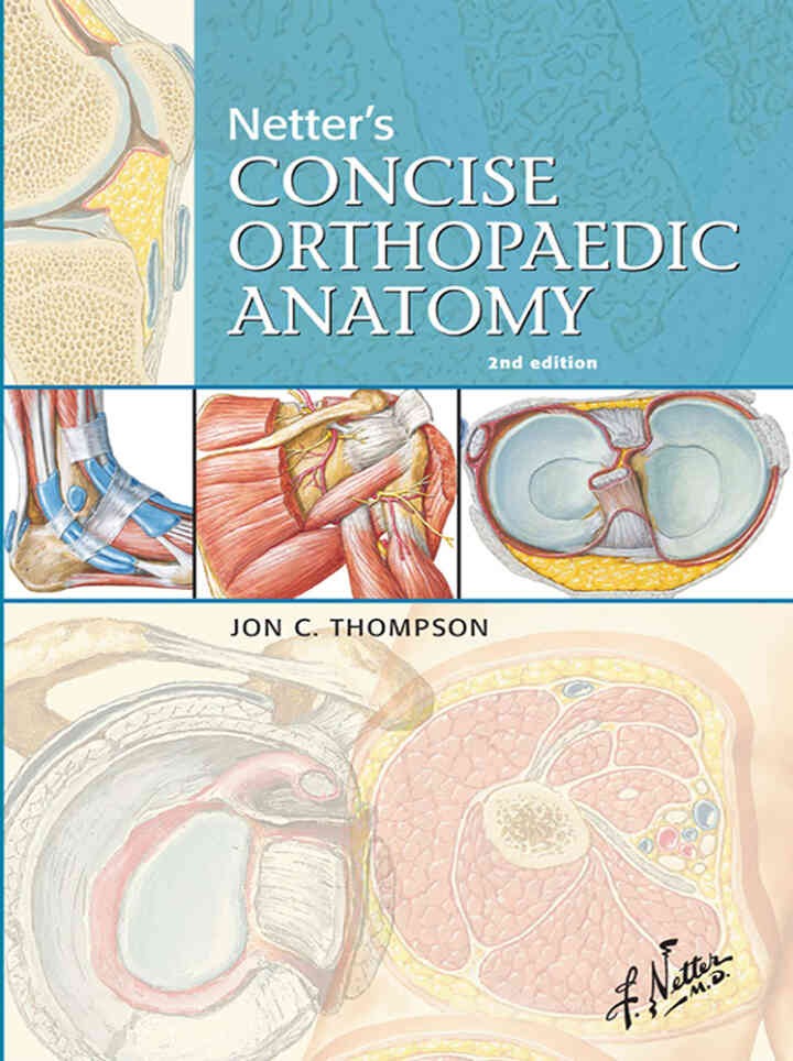 Netter's Concise Orthopaedic Anatomy, Updated Edition - Electronic, 2nd Edition
