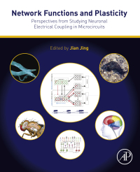 Network Functions and Plasticity: Perspectives from Studying Neuronal Electrical Coupling in Microcircuits