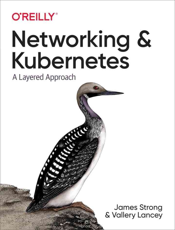Networking and Kubernetes: A Layered Approach, 1st Edition