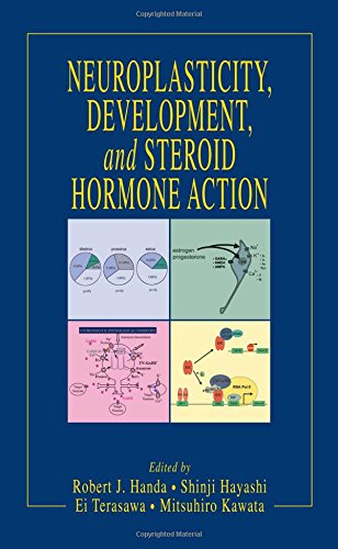 Neuroplasticity, Development, and Steroid Hormone Action