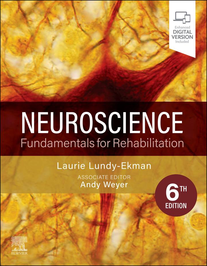 Neuroscience: Fundamentals for Rehabilitation 6th Edition