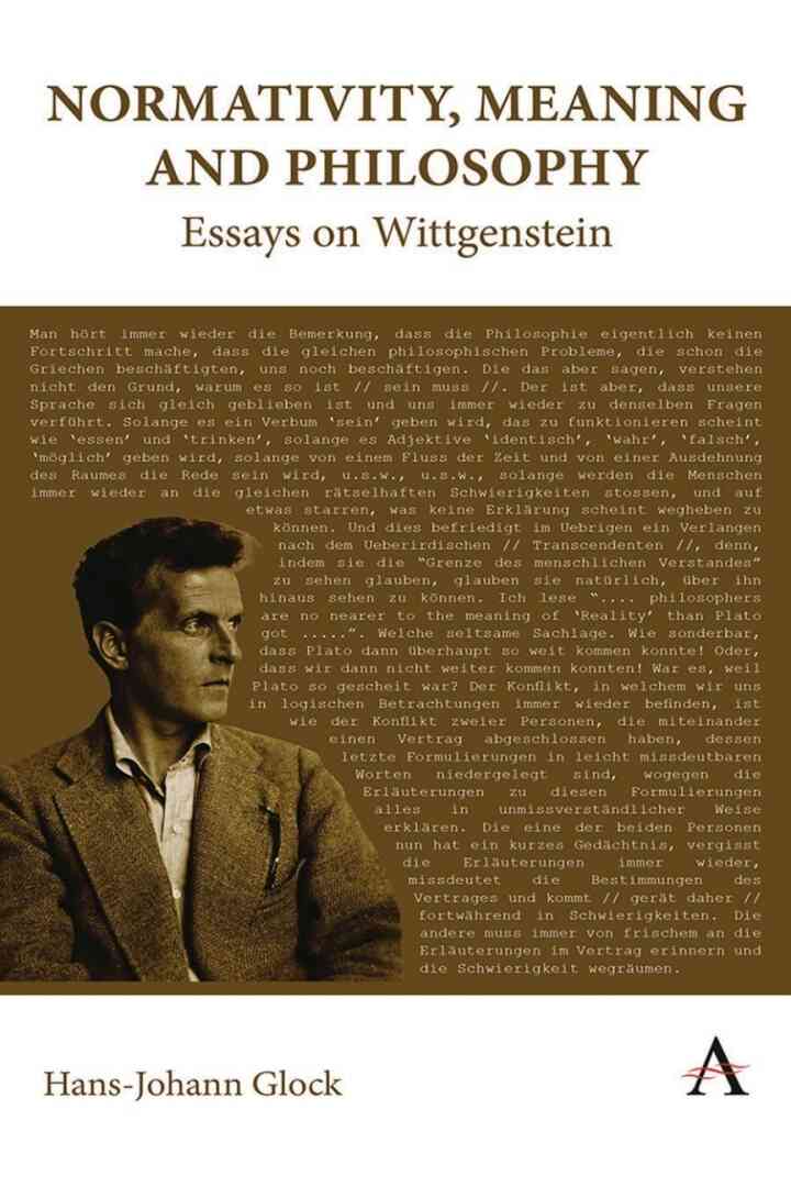 Normativity Meaning and Philosophy: Essays on Wittgenstein