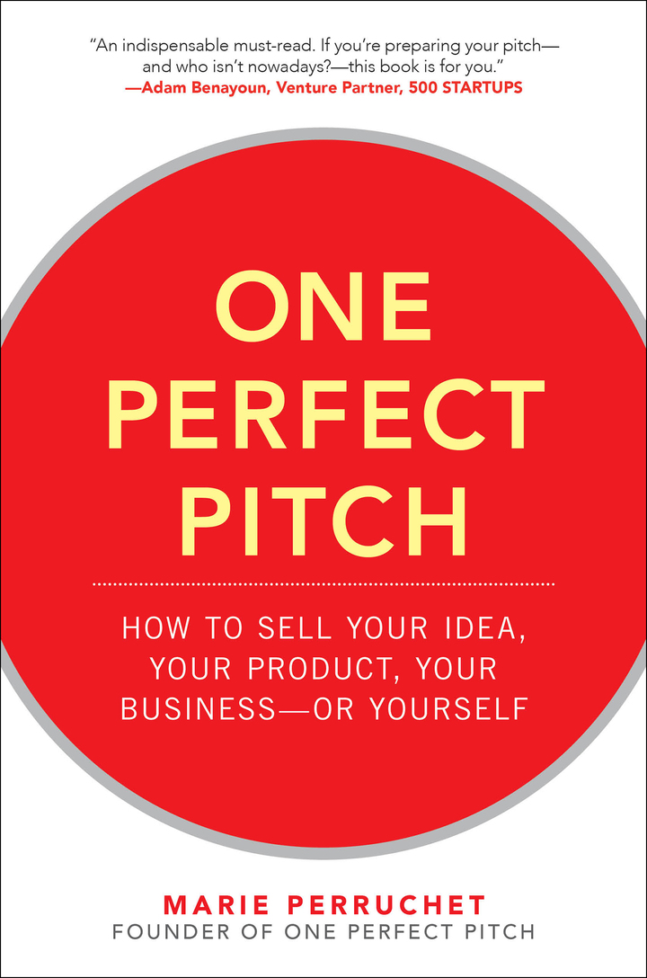 One Perfect Pitch: How to Sell Your Idea Your Product Your Business--or Yourself