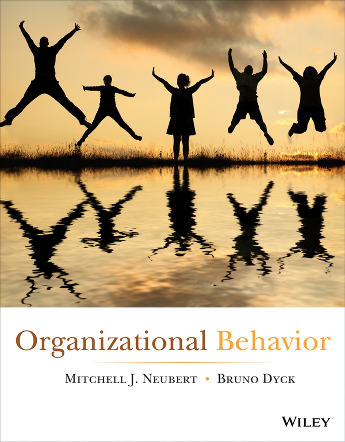 Organizational Behavior