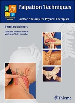 Palpation Techniques: Surface Anatomy for Physical Therapists