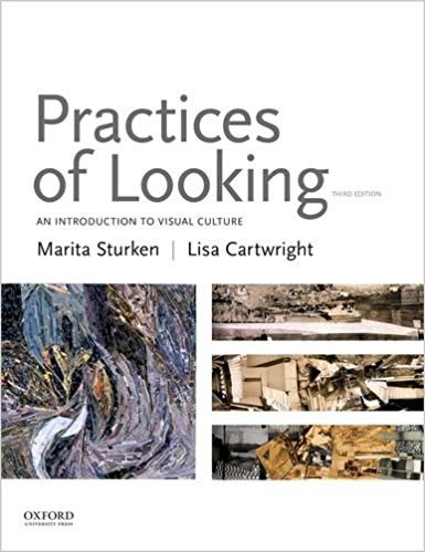 Practices of Looking An Introduction to Visual Culture 3rd Edition