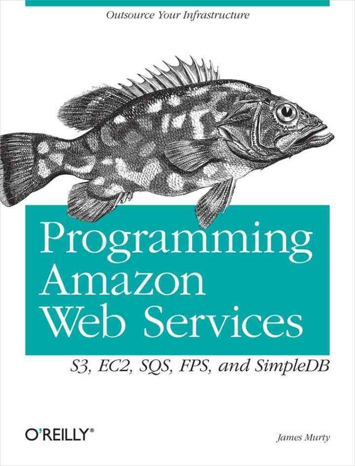 Programming Amazon Web Services: S3, EC2, SQS, FPS, and SimpleDB, 1st Edition