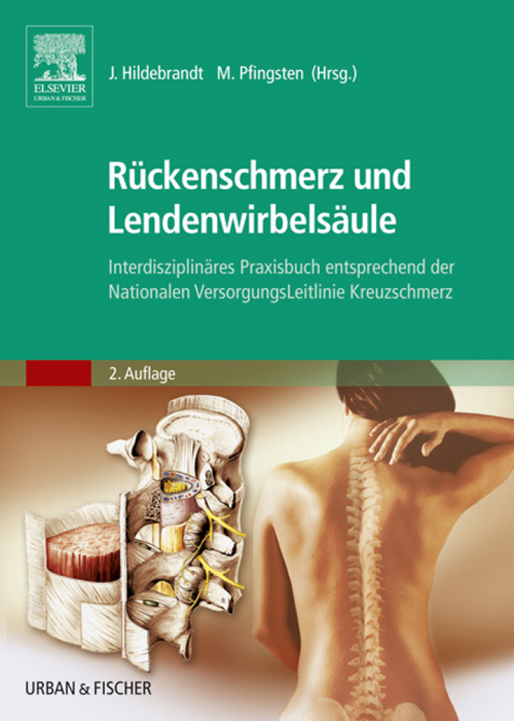 R�ckenschmerz und Lendenwirbels�ule: Interdisziplin�res Praxisbuch - entsprechend den Nationalen Versorgungsleitlinien