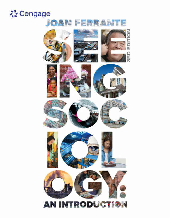 Seeing Sociology: An Introduction 3rd Edition