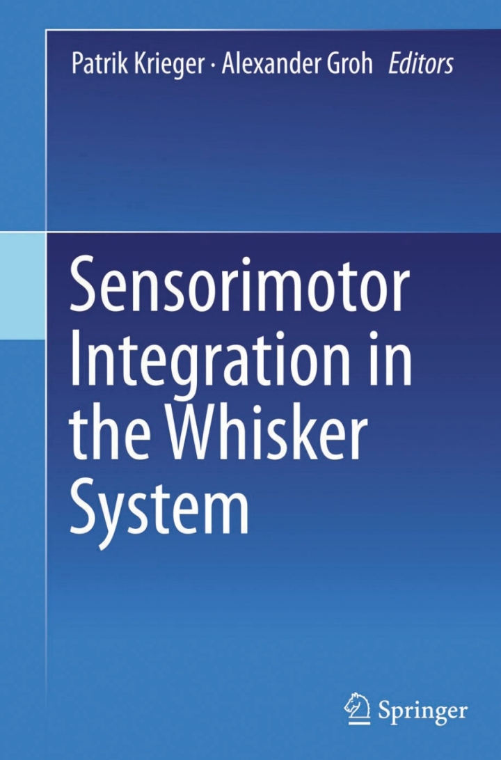 Sensorimotor Integration in the Whisker System