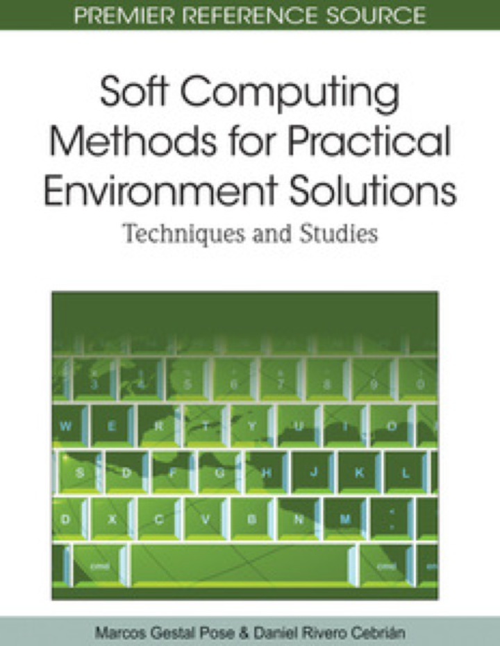 Soft Computing Methods for Practical Environment Solutions