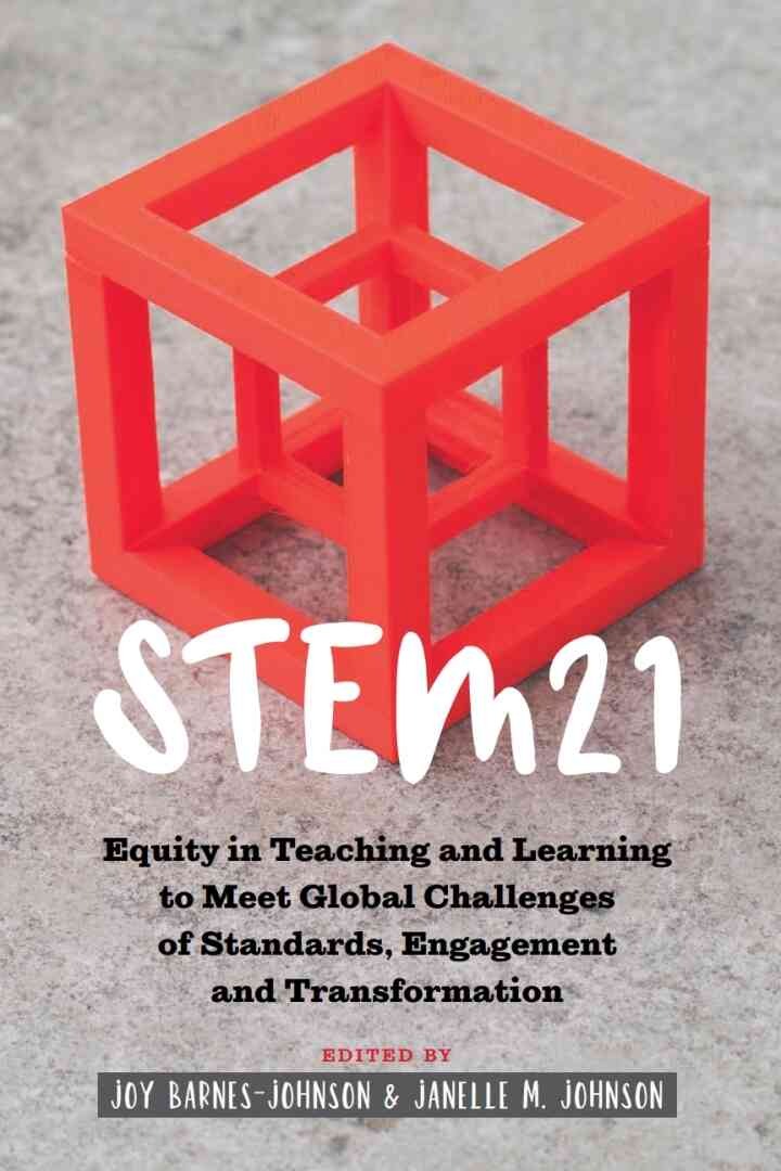 STEM21: Equity in Teaching and Learning to Meet Global Challenges of Standards, Engagement and Transformation, 1st Edition