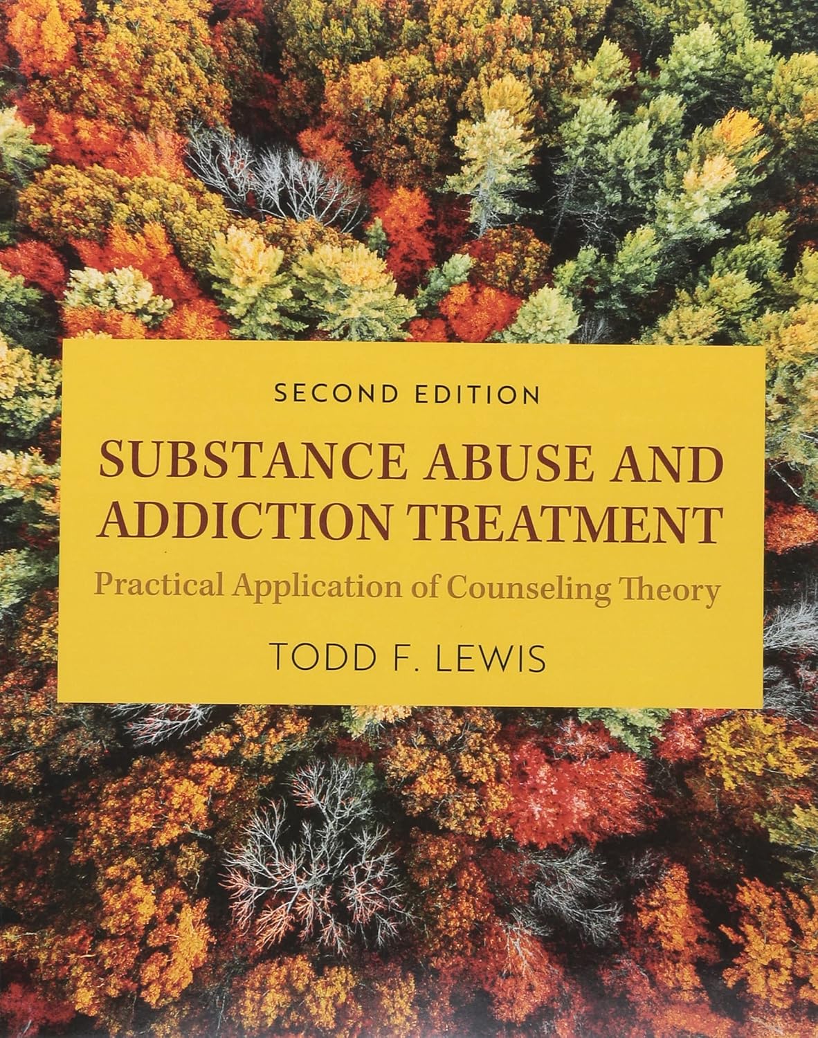 Substance Abuse and Addiction Treatment: Practical Application of Counseling Theory 2nd edition
