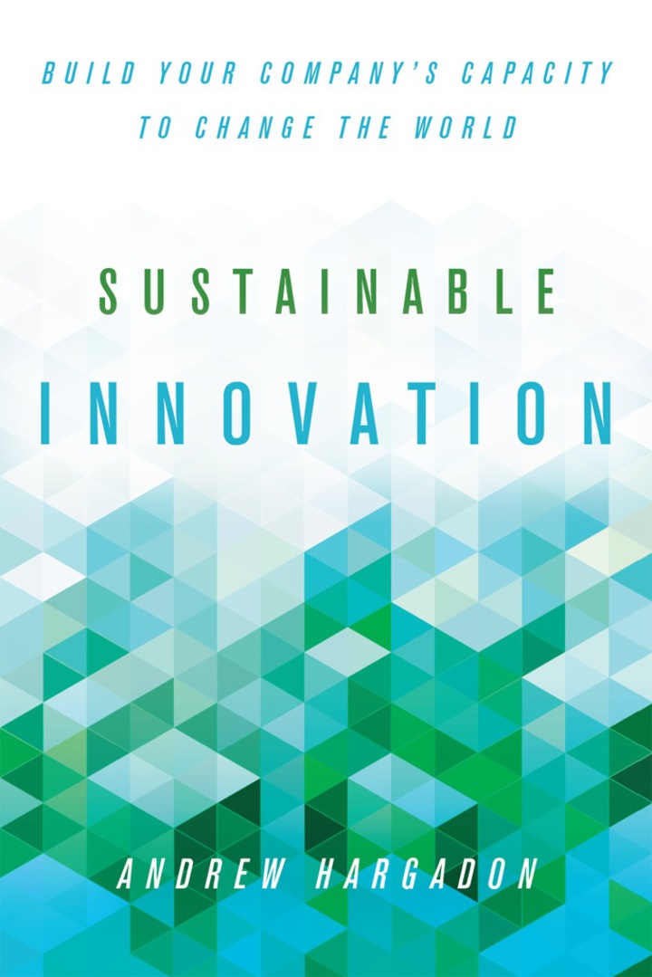 Sustainable Innovation: Build Your Company�s Capacity to Change the World