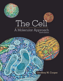 The Cell A Molecular Approach 8th by Geoffrey M. Cooper
