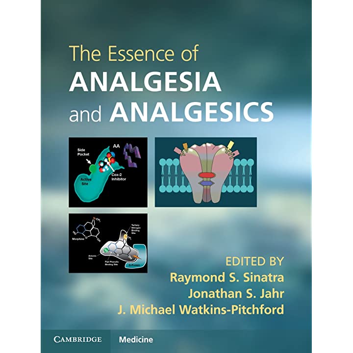 The Essence of Analgesia and Analgesics