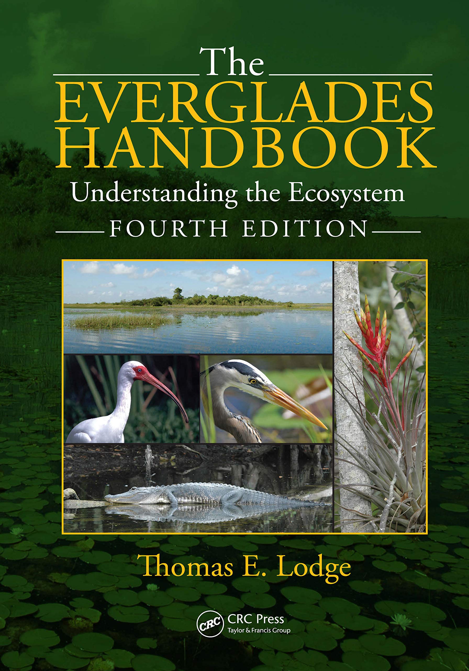 The Everglades Handbook: Understanding the Ecosystem Fourth Edition