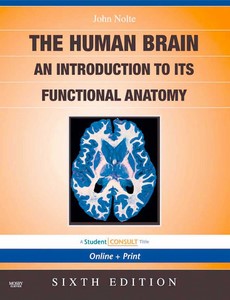 The Human Brain An Introduction to Its Functional Anatomy, 6th Edition by John Nolte