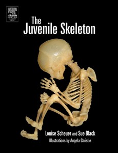 The Juvenile Skeleton by Louise Scheuer