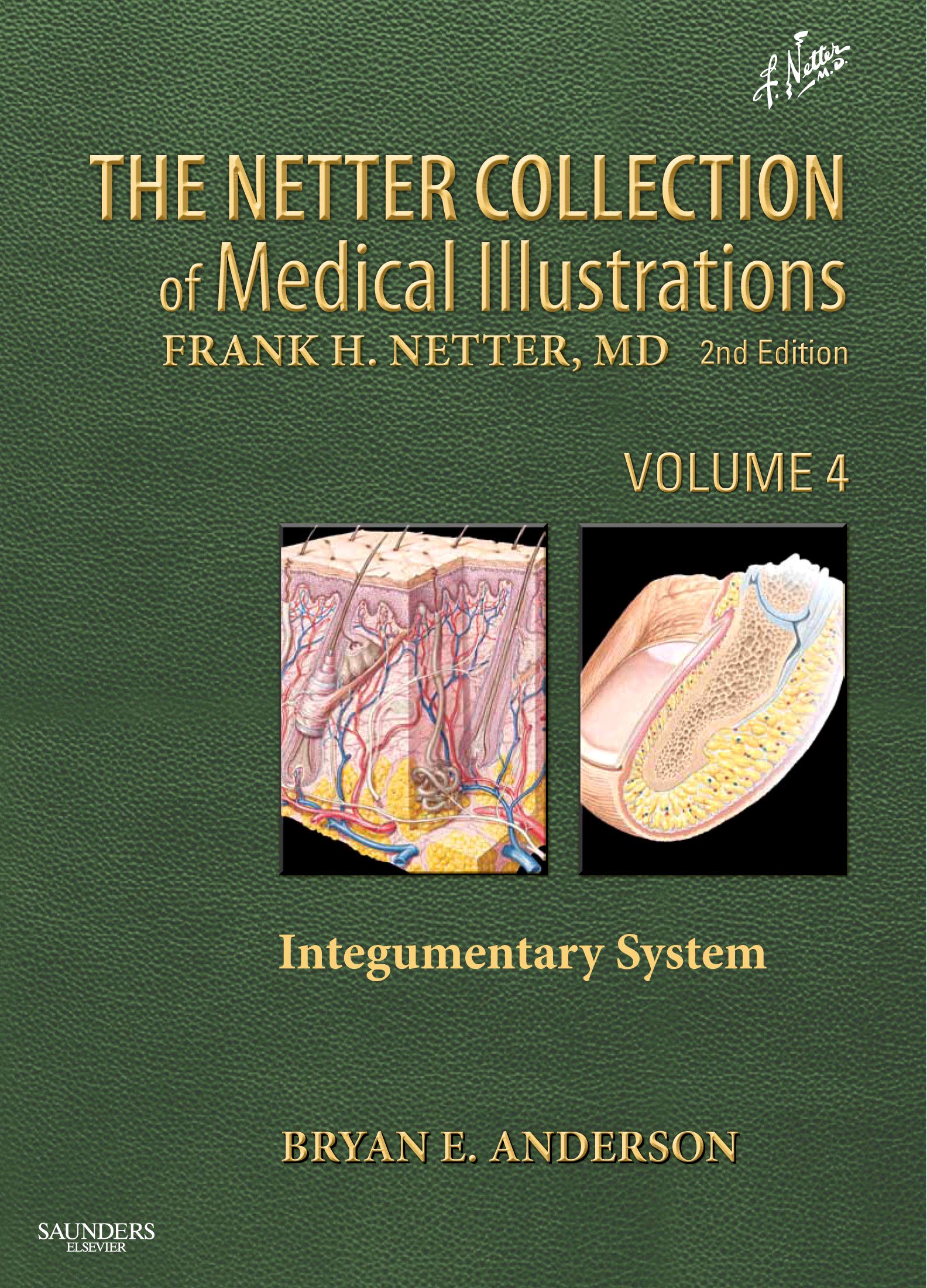 The Netter Collection of Medical Illustrations - Integumentary System E-Book: Volume 4
