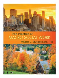 The Practice of Macro Social Work 4th edition by William G Brueggemann