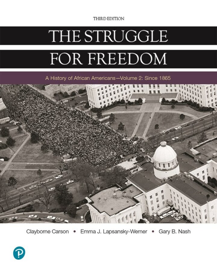 The Struggle for Freedom, Volume 2: Since 1865