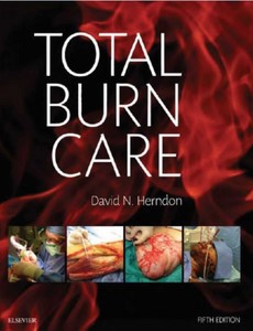 Total Burn Care 5th Edition by David N. Herndon