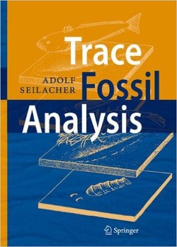 Trace Fossil Analysis