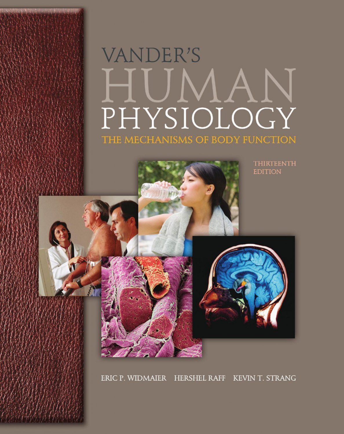 Vander's Human Physiology The Mechanisms of Body Function 13th Edition by Widmaier