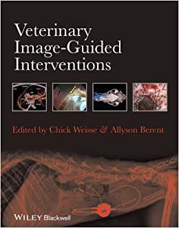 Veterinary Image-Guided Interventions