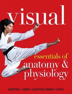 Visual Essentials of Anatomy & Physiology by Frederic H. Martini
