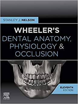 Wheeler's Dental Anatomy, Physiology and Occlusion