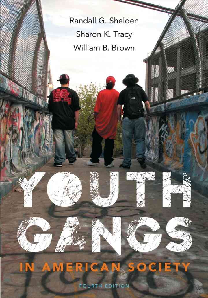Youth Gangs in American Society 4th Edition